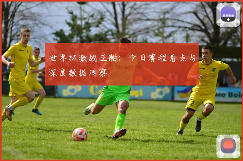 世界杯激战正酣:今日赛程看点与深度数据洞察