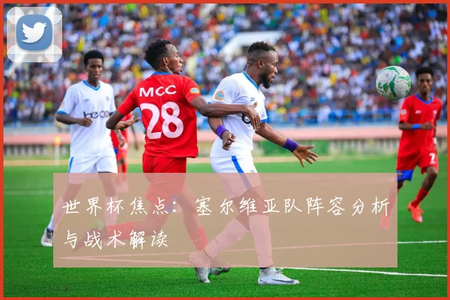 世界杯焦点:塞尔维亚队阵容分析与战术解读