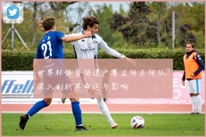 世界杯体育场遗产赛后何去何从?深入剖析其命运与影响
