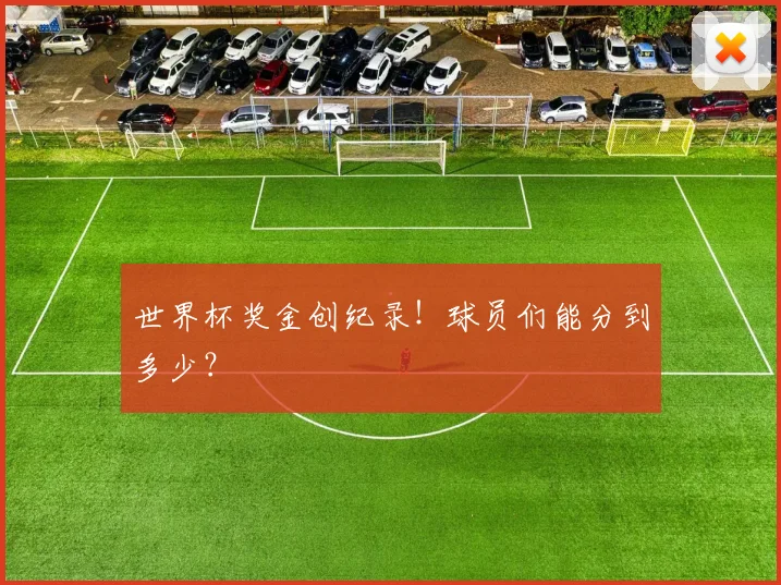 世界杯奖金创纪录！球员们能分到多少？