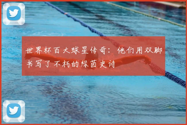 世界杯百大球星传奇：他们用双脚书写了不朽的绿茵史诗