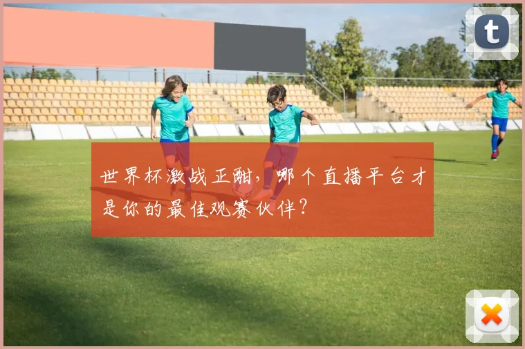 世界杯激战正酣,哪个直播平台才是你的最佳观赛伙伴?