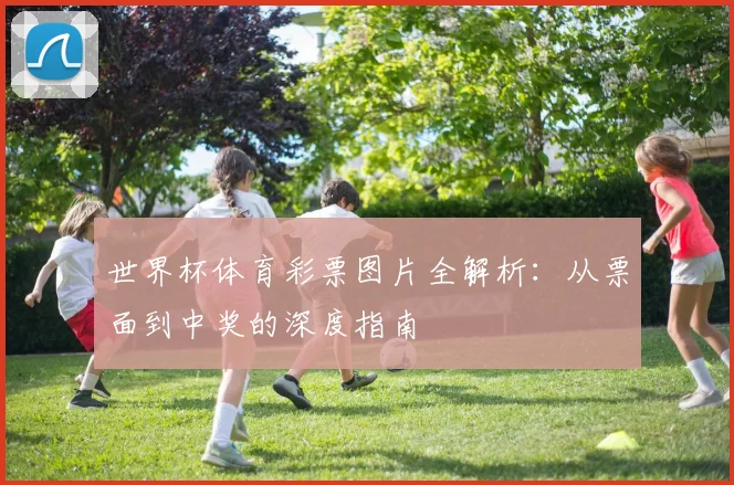 世界杯体育彩票图片全解析：从票面到中奖的深度指南