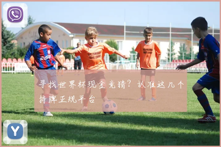 寻找世界杯现金竞猜?认准这几个持牌正规平台