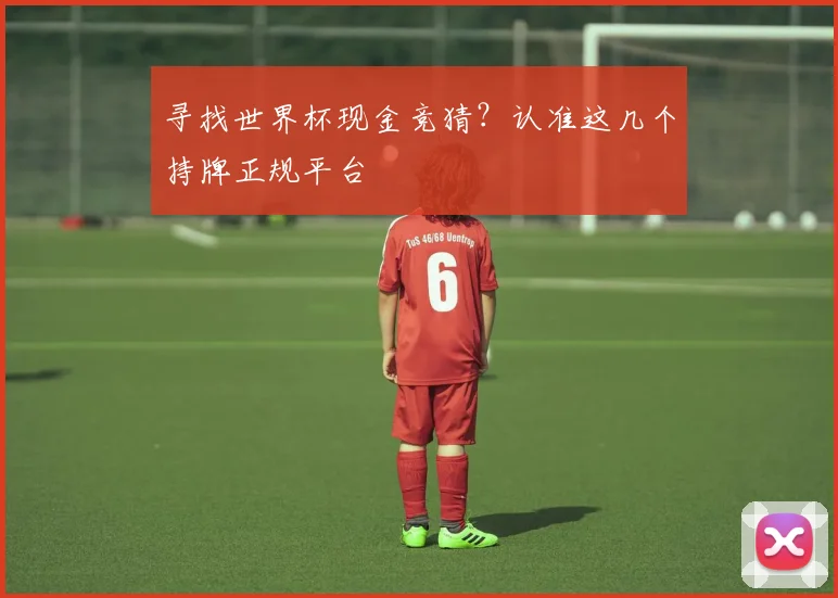 寻找世界杯现金竞猜？认准这几个持牌正规平台