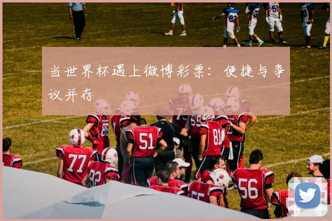 当世界杯遇上微博彩票：便捷与争议并存