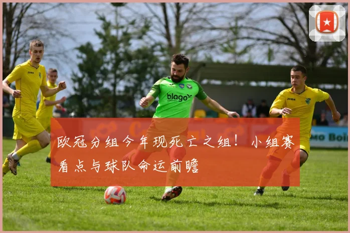 欧冠分组今年现死亡之组！小组赛看点与球队命运前瞻