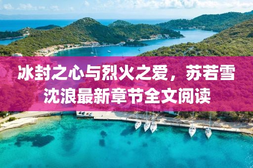 冰封之心与烈火之爱，苏若雪沈浪最新章节全文阅读