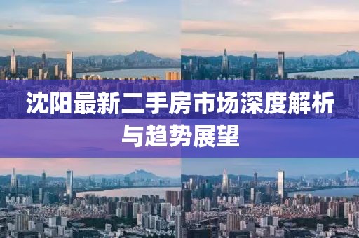 沈阳最新二手房市场深度解析与趋势展望