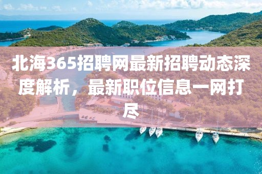 北海365招聘网最新招聘动态深度解析，最新职位信息一网打尽