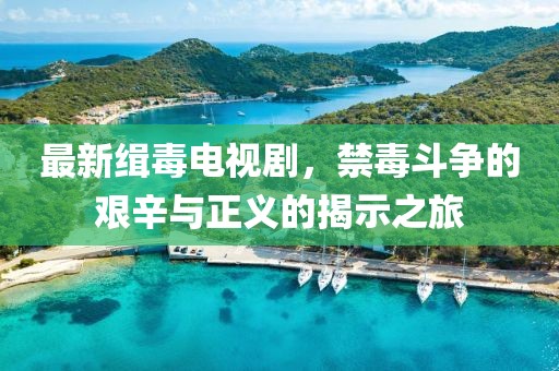 最新缉毒电视剧，禁毒斗争的艰辛与正义的揭示之旅