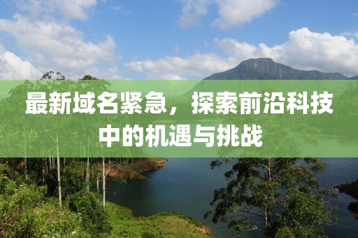 最新域名紧急，探索前沿科技中的机遇与挑战