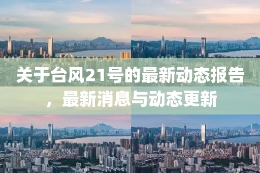 关于台风21号的最新动态报告，最新消息与动态更新