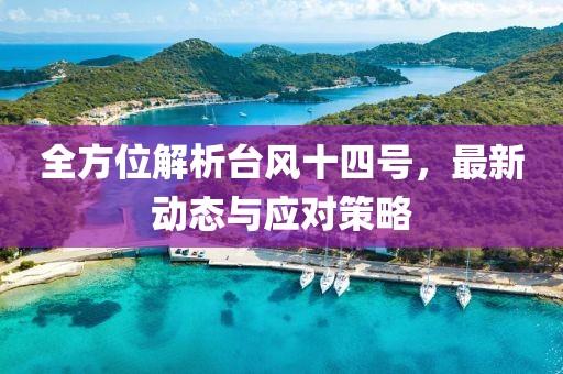 全方位解析台风十四号，最新动态与应对策略