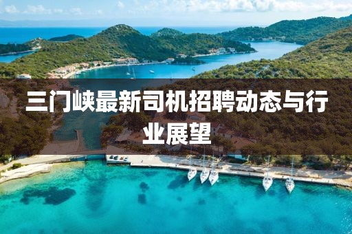 三门峡最新司机招聘动态与行业展望