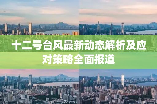 十二号台风最新动态解析及应对策略全面报道