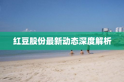 红豆股份最新动态深度解析