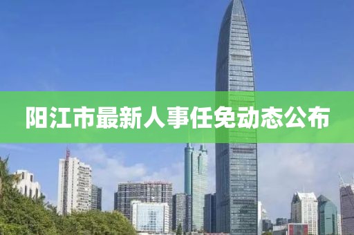 阳江市最新人事任免动态公布