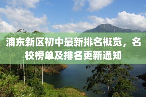 浦东新区初中最新排名概览，名校榜单及排名更新通知