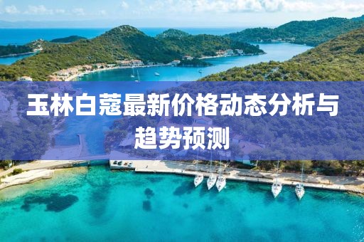 玉林白蔻最新价格动态分析与趋势预测