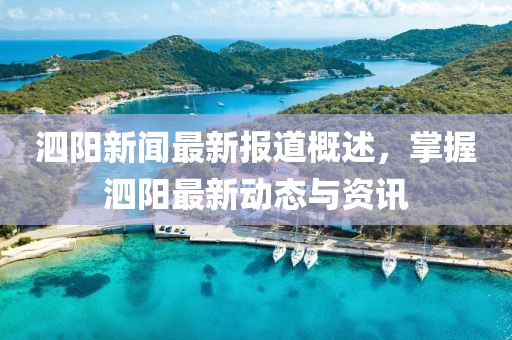 泗阳新闻最新报道概述，掌握泗阳最新动态与资讯