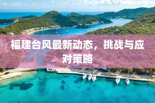 福建台风最新动态，挑战与应对策略