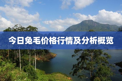 今日兔毛价格行情及分析概览