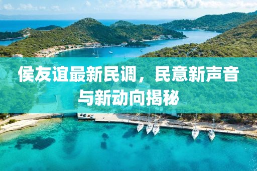 侯友谊最新民调，民意新声音与新动向揭秘