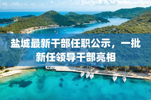 盐城最新干部任职公示，一批新任领导干部亮相