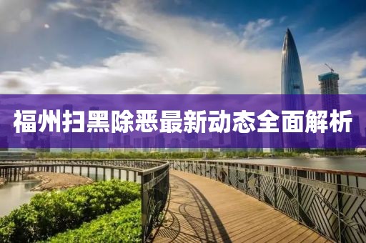 福州扫黑除恶最新动态全面解析