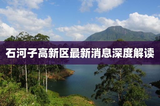 石河子高新区最新消息深度解读