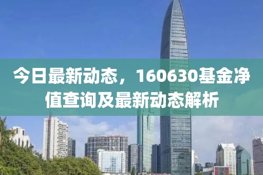 今日最新动态，160630基金净值查询及最新动态解析