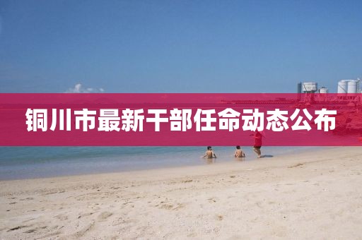 铜川市最新干部任命动态公布