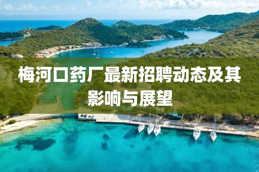 梅河口药厂最新招聘动态及其影响与展望