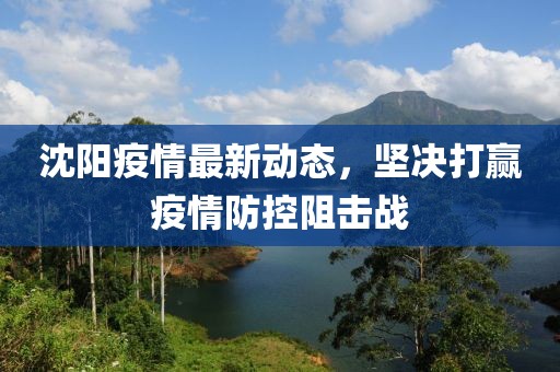 沈阳疫情最新动态，坚决打赢疫情防控阻击战