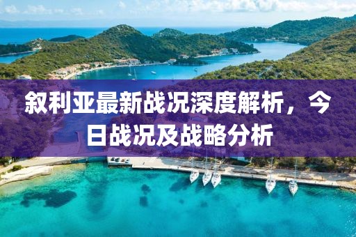 叙利亚最新战况深度解析，今日战况及战略分析