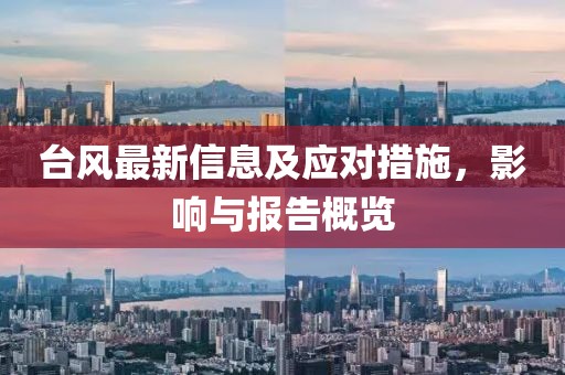 台风最新信息及应对措施，影响与报告概览