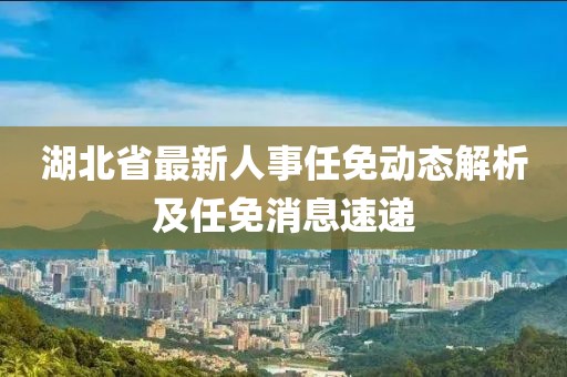 湖北省最新人事任免动态解析及任免消息速递