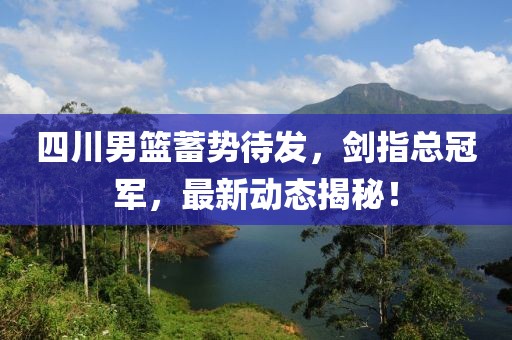 四川男篮蓄势待发，剑指总冠军，最新动态揭秘！