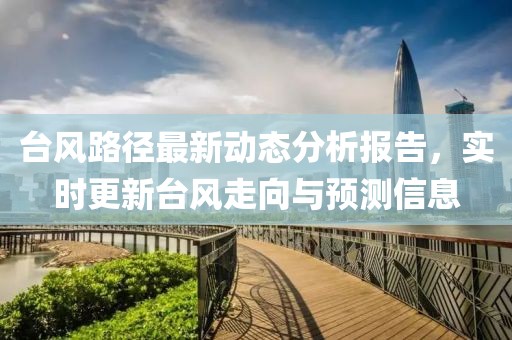 台风路径最新动态分析报告，实时更新台风走向与预测信息