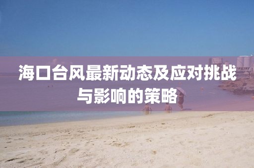 海口台风最新动态及应对挑战与影响的策略