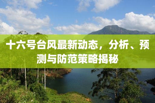 十六号台风最新动态，分析、预测与防范策略揭秘