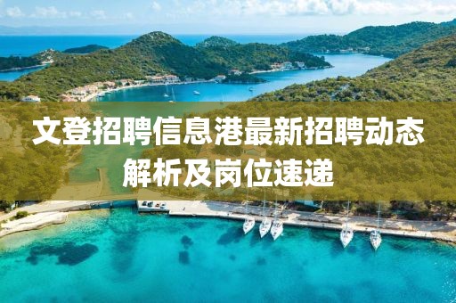 文登招聘信息港最新招聘动态解析及岗位速递