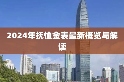 2024年抚恤金表最新概览与解读