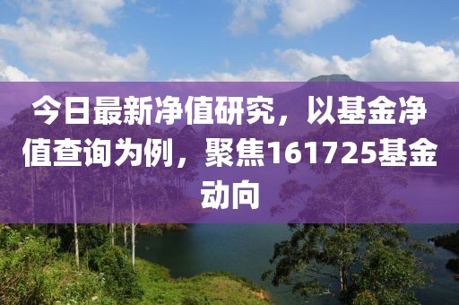 今日最新净值研究，以基金净值查询为例，聚焦161725基金动向