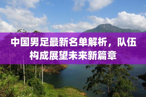 中国男足最新名单解析，队伍构成展望未来新篇章