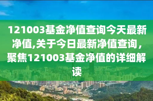 121003基金净值查询今天最新净值,关于今日最新净值查询，聚焦121003基金净值的详细解读