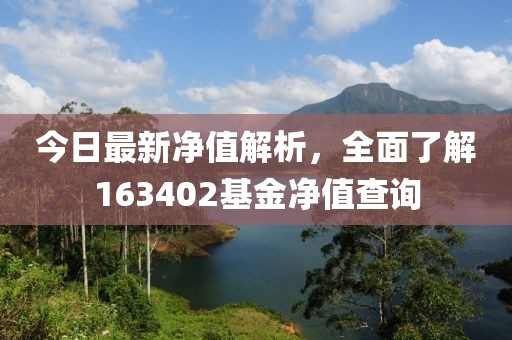 今日最新净值解析，全面了解163402基金净值查询