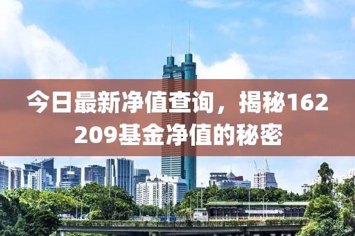 今日最新净值查询，揭秘162209基金净值的秘密