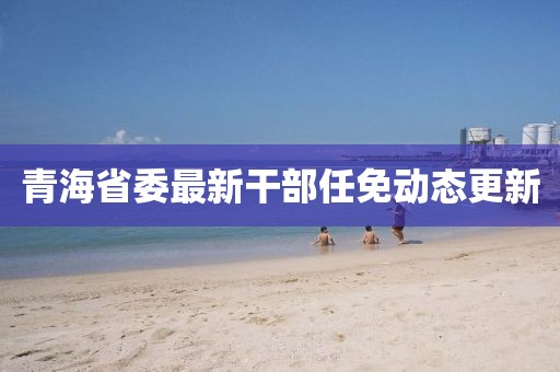 青海省委最新干部任免动态更新